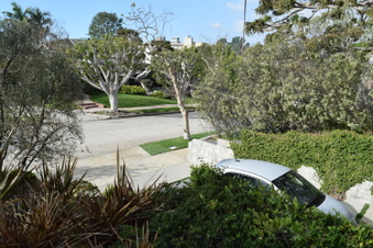 Enlarge photo 15