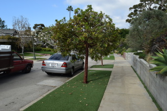 Enlarge photo 41