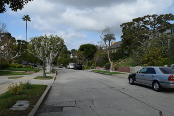 Enlarge photo 42