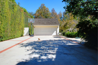 Enlarge photo 3