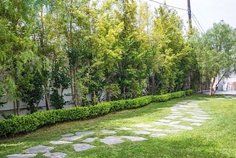 Enlarge photo 20
