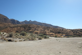 Enlarge photo 75