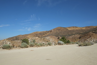 Enlarge photo 76