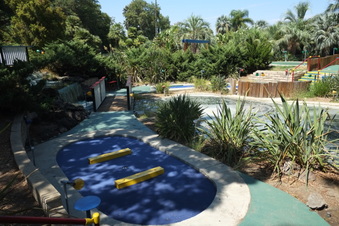 Enlarge photo 42