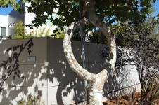 Enlarge photo 3