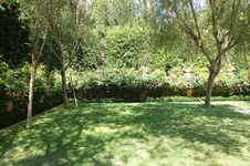 Enlarge photo 47