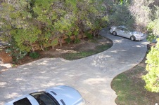Enlarge photo 81