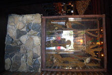 Enlarge photo 10