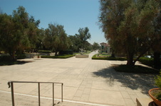 Enlarge photo 18