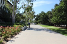 Enlarge photo 106