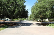 Enlarge photo 104