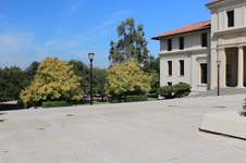Enlarge photo 102