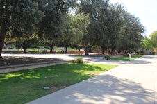 Enlarge photo 107