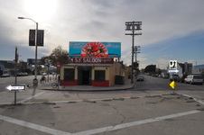Enlarge photo 25