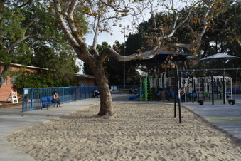 Enlarge photo 10