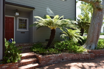 Enlarge photo 5