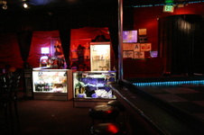Enlarge photo 58