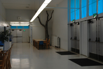 Enlarge photo 3