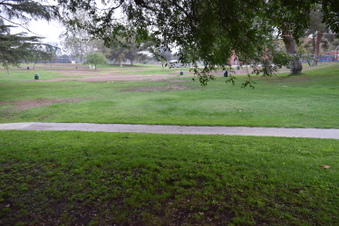 Enlarge photo 31
