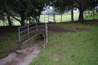 Enlarge photo 35