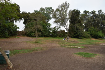 Enlarge photo 53