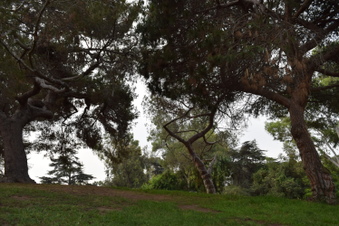 Enlarge photo 67