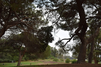 Enlarge photo 73