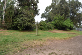 Enlarge photo 84