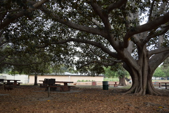 Enlarge photo 90