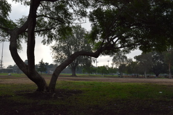 Enlarge photo 110