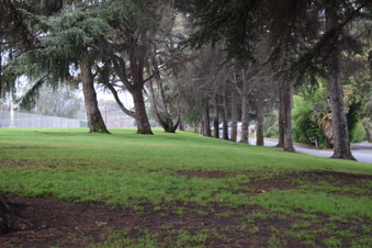 Enlarge photo 134