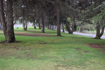 Enlarge photo 137