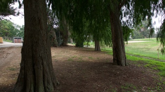 Enlarge photo 25
