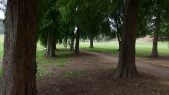 Enlarge photo 26