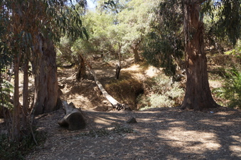 Enlarge photo 48