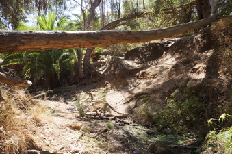 Enlarge photo 52