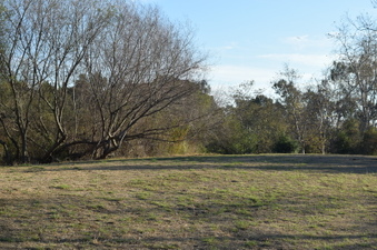 Enlarge photo 44