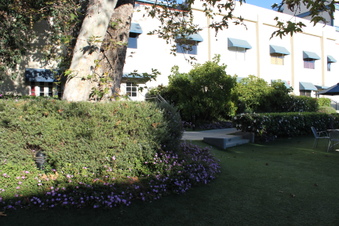 Enlarge photo 9