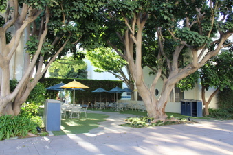 Enlarge photo 22