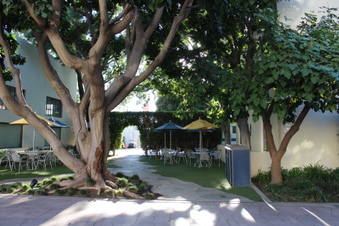 Enlarge photo 23