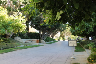 Enlarge photo 30