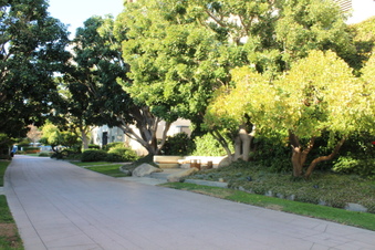 Enlarge photo 31