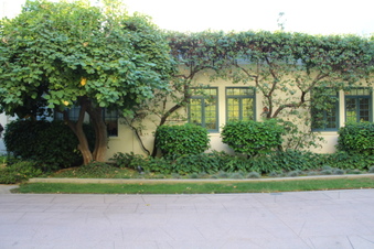 Enlarge photo 32