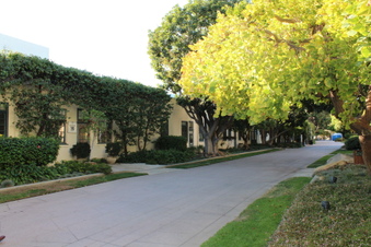 Enlarge photo 33