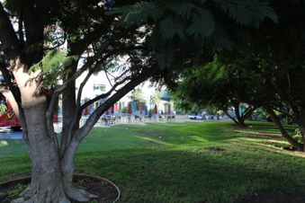Enlarge photo 5