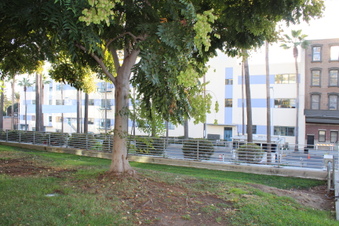 Enlarge photo 6