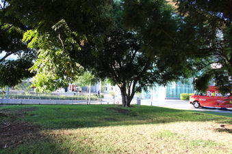 Enlarge photo 8