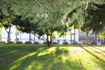 Enlarge photo 10