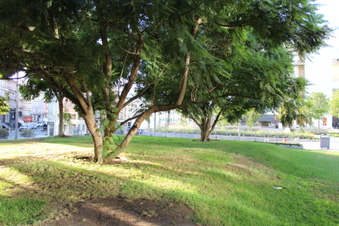 Enlarge photo 11