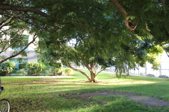 Enlarge photo 12